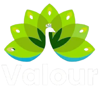 Valour Digital Agency